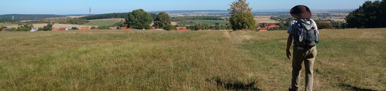 Pilgerweg nach Drübeck